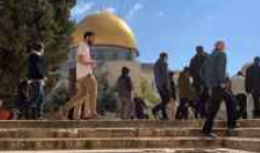 عشرات المستوطنين يقتحمون باحات المسجد الأقصى