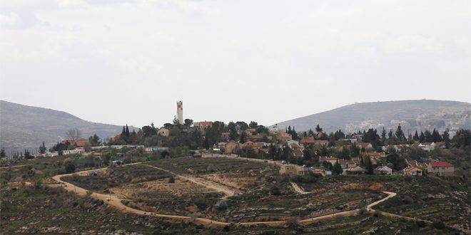 مستوطنون يستولون على عشرات الدونمات قرب سلفيت بالضفة الغربية