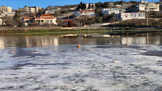 وزارة الرزاعة ترفع جاهزيتها للتعامل مع المنخفض الجوي