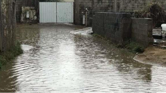 إربد.. ترحيل عائلات داهمت المياه منازلهم لمراكز الإيواء