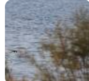 المياه: 3 ملايين متر مكعب دخلت السدود حتى ظهر اليوم