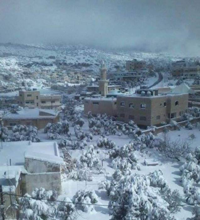عجلون: تساقط كثيف للثلوج في المناطق المرتفعة