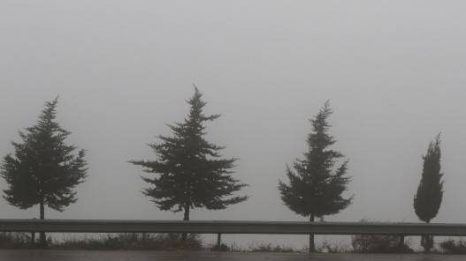 “الأرصاد” تحذر من تشكل الصقيع وحدوث الانجماد خلال ساعات الليل المتأخرة