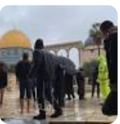 مستوطنون متطرفون يقتحمون المسجد الأقصى