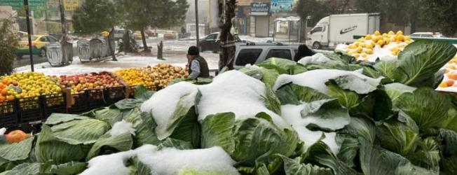 مزارعي وادي الأردن: تخطينا الخط الأحمر