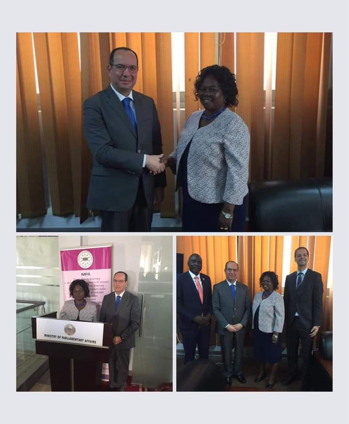 السفير المصري في جوبا يلتقي وزيرة الشئون البرلمانية بجنوب السودان