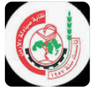 الصيادلة: أدوية بقيمة مليوني دينار للمتضررين في سوريا