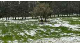 الأرصاد: زخاث ثلجية وأمطار خفيفة على هذه المناطق فجر الأحد