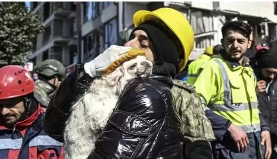 إنقاذ تركية بسبب نباح كلبتها بعد 103 ساعات على الزلزال