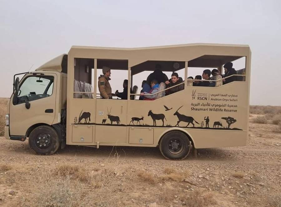 انطلاق أولى رحلات سفاري المها العربي بمحمية الشومري