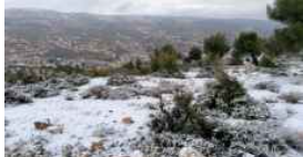 طقس العرب: احتمالية لتساقط زخات ثلجية متقطعة في مرتفعات الجنوب فجر الأربعاء