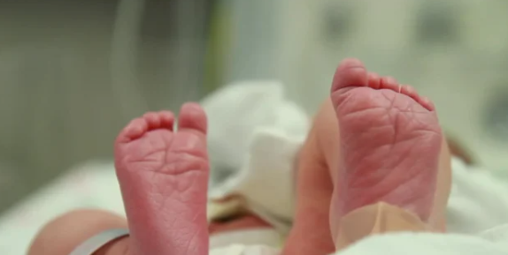 إربد.. الدفاع المدني يُجري عمليتي ولادة داخل منزل وسيارة إسعاف