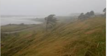 نيوزيلندا: إعلان حالة الطوارئ بسبب إعصار عنيف