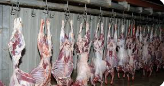 الصناعة والتجارة : هذه أسباب ارتفاع اللحوم والدواجن