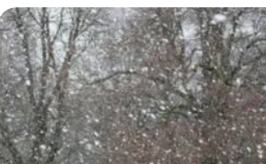 طقس العرب: زخات ثلجية قد تتراكم في مناطق بالأردن مساء الثلاثاء