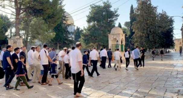 عشرات المستوطنين يقتحمون الأقصى