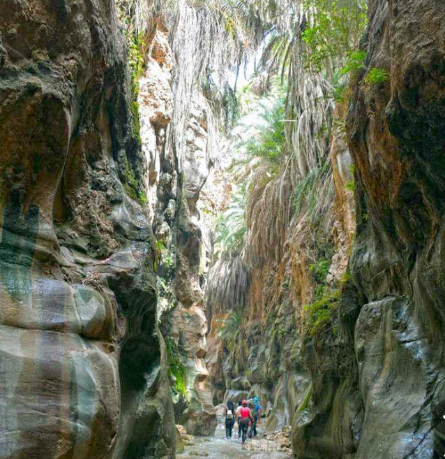 الكرك: حمامات وادي ابن حماد طبيعة خلابة وسياحة علاجية