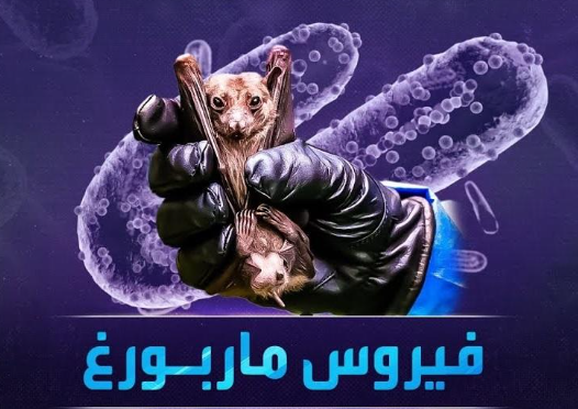 طبيب اردني: ميزات مطمئنة بفيروس ماربورغ القاتل
