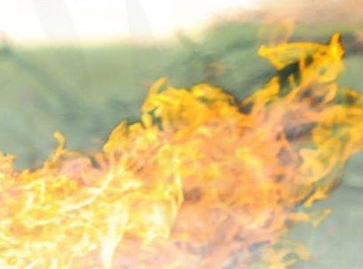 السعودية ..ضبط 28 مخالفًا لنظام البيئة لإشعالهم النار في المناطق المحمية