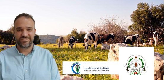 مربو الأبقار : خسائرنا 35 مليون بالحمى القلاعية ونفوق 1300 رأس... والزراعة نحصر الأضرار والبيطريين تحذر