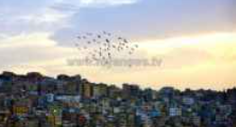 أجواء لطيفة ومشمسة الأربعاء