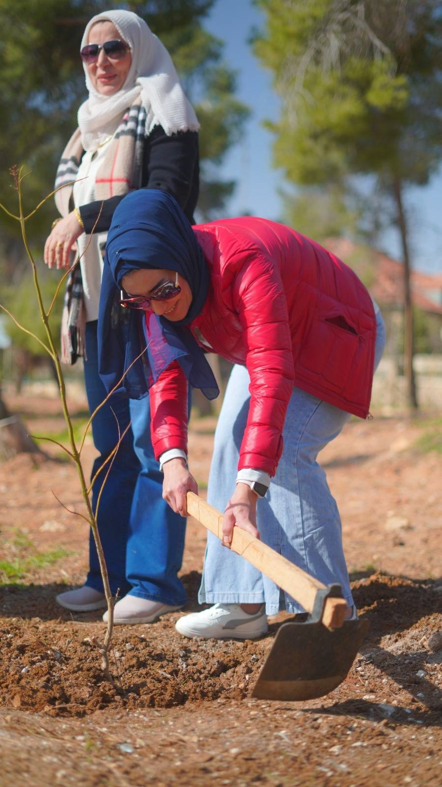 يوم عمل تطوعي لزراعة الأشجار في مدينة الحسين للشباب...صور