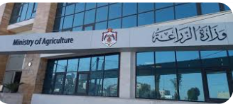 الزراعة: مسؤولية الكلاب الضالة تناط بـ”الإدارة المحلية والأمانة”