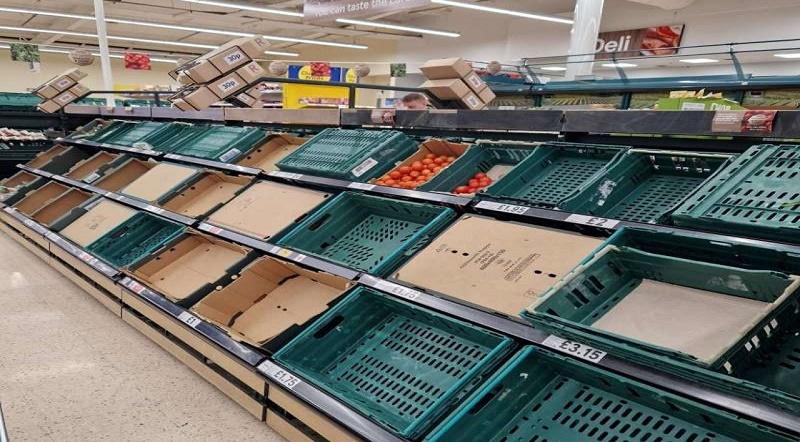 أزمة طماطم تضرب بريطانيا.. بسبب دولة عربية