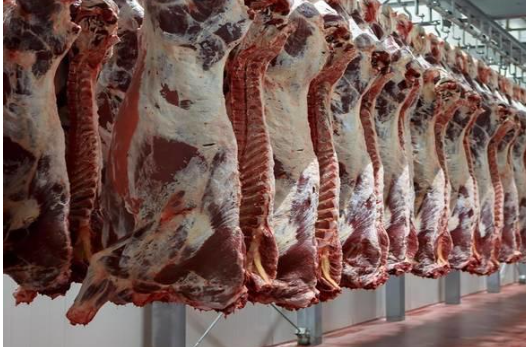 ارتفاع أسعار اللحوم المستوردة في الاردن