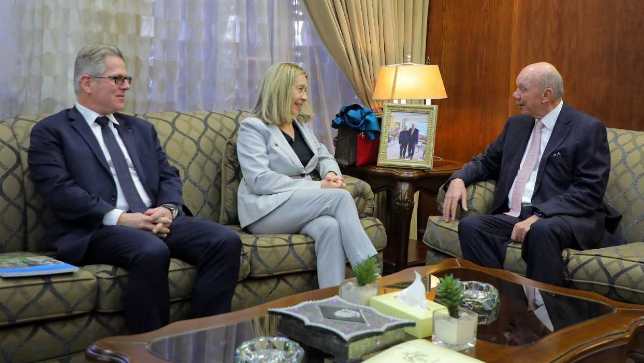 الفايز يشيد بمستوى العلاقات الأردنية الفرنسية