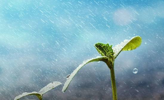 دعوات لصلاة استسقاء في الأردن