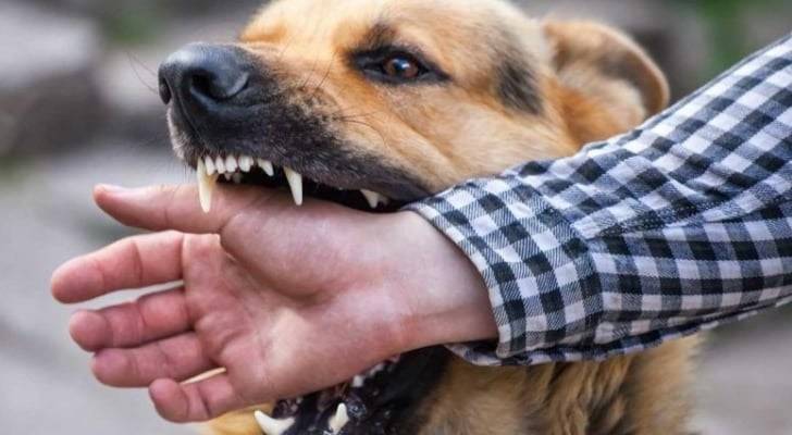 فطنة عامل وافد تحول دون تعرض عائلة لهجوم كلب في سحاب