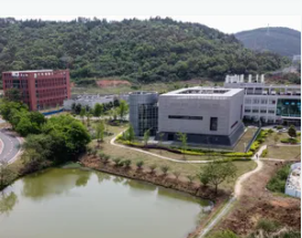 جدل منشأ كورونا يعود من جديد.. الصين في مرمى الاتهامات