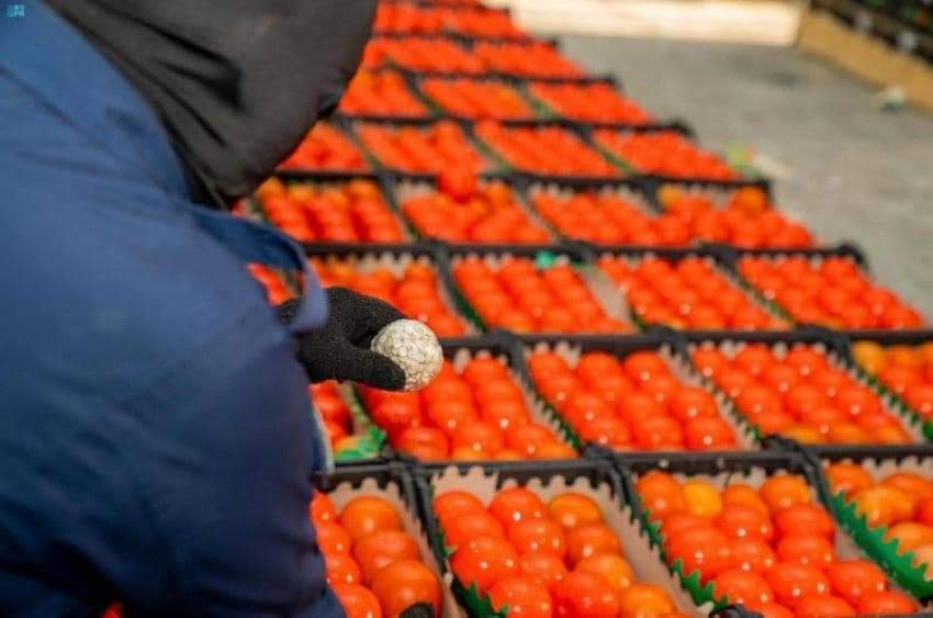 السعودية تُحبط تهريب مخدرات قادمة من الاردن ...صور