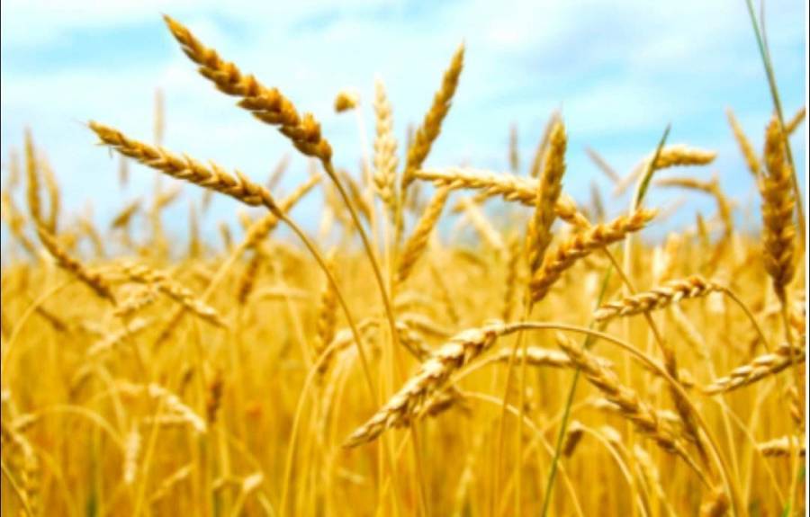 الشمالي: طرح عطاء دولي خلال الربع الأول من 2023 لتطوير المنطقة الصناعية الأردنية العراقية