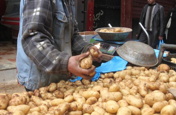 ارتفاع سعر البطاطا في السوق المركزي