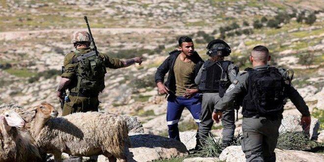 مستوطنون يعتدون على المزارعين ورعاة الأغنام الفلسطينيين في الخليل