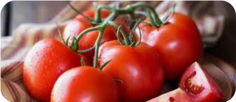 “المزارعين”: شهر رمضان سيشهد غزارة في الإنتاج واستقرار في والأسعار