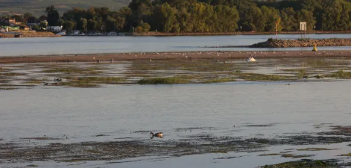 خسائر خيالية قد تتكبدها ألمانيا بسبب المناخ بحلول 2050