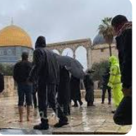 مستوطنون متطرفون يقتحمون باحات الأقصى