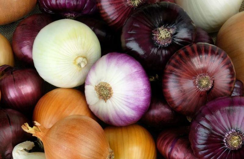 4 كيلوغرامات بدل 2.. سوريون منشغلون بقضية (البصل)