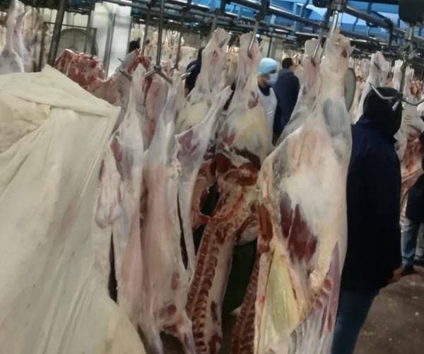 أمانة عمان تعلن دوام دائرة المسالخ خلال رمضان