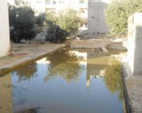 أهالي الرمثا يطالبون بحل مشكلة فيضان مياه الصرف الصحي