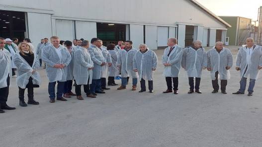 وزير الزراعة يؤكد أهمية استمرارية انسياب الأغنام المصدرة إلى الأردن