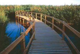 محافظ الزرقاء الجبور يؤكد ميزات منطقة الأزرق السياحية والتنافسية