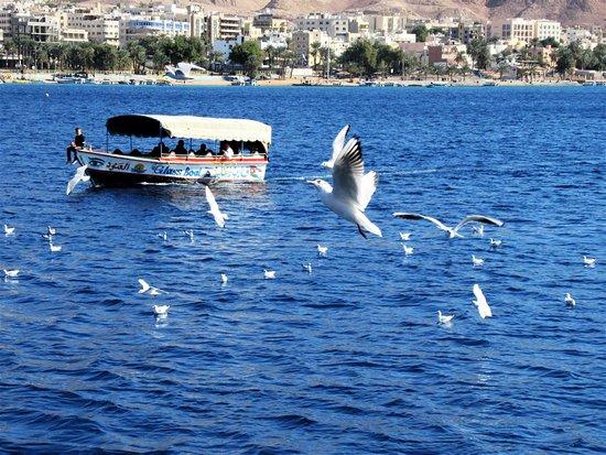 (تايم) الأمريكية: العقبة أعظم الأماكن بالعالم لعام 2023