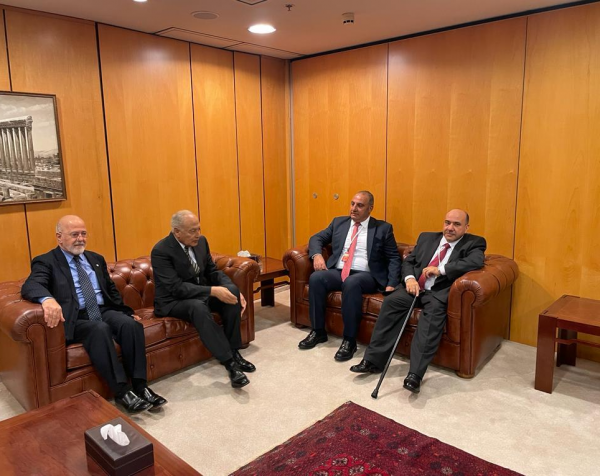 الشواربة يلتقي أمين عام جامعة الدول العربية