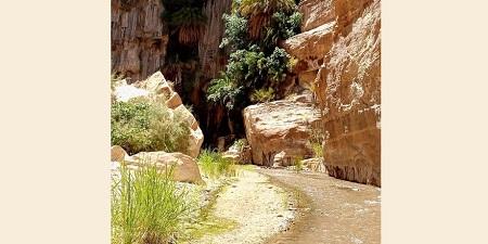 الطفيلة: مياه الينابيع تتناقص بفعل العوامل الطبيعية