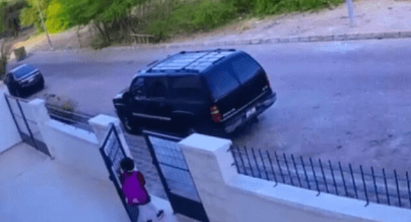 بالفيديو.. محاولة هجوم كلاب ضالة على طفلة بالعقبة