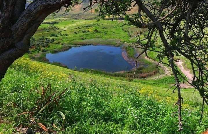 حركة سياحية نشطة في اربد